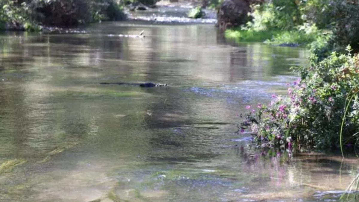 Ihlara Vadisi'nin güzelliği göz boyuyor