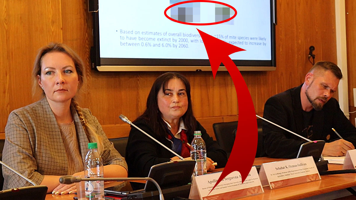 Bu böceğin adı, bilim insanlarını birbirine düşürdü! Bazıları 'Malum şahsı hatırlatıyor' derken, 'Masum bir böcek' diyenler var