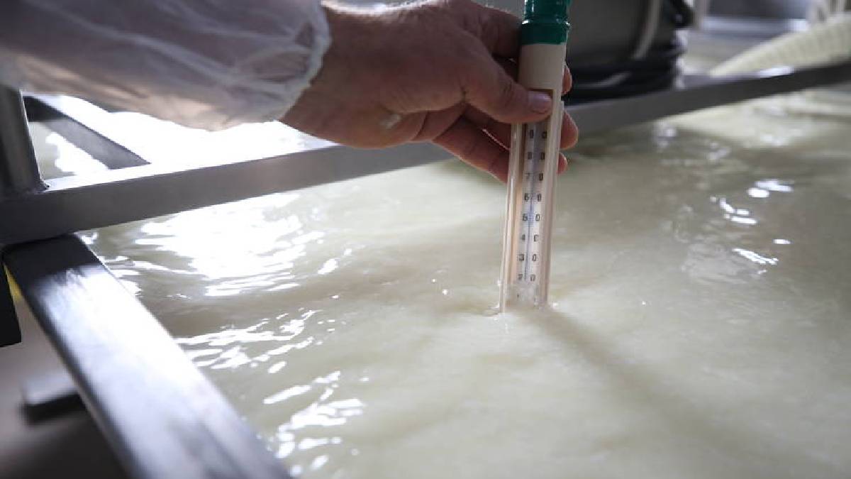 Dünya Türkiye'nin ağlayan peynirini konuşuyor! 120 gün çile çeker gibi bekliyor… Kahvaltı sofralarında hüngür hüngür ağlıyor