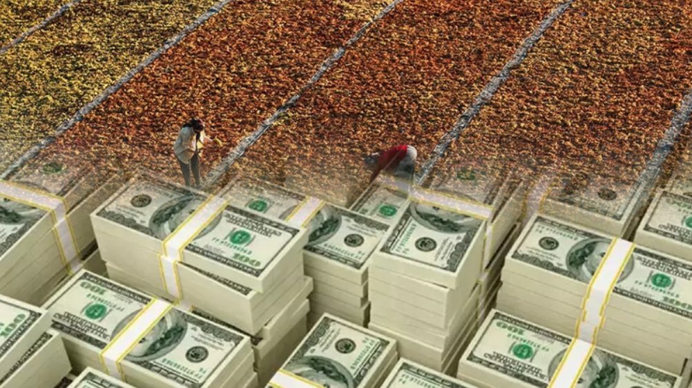 Türkiye'de yapılıyor! 104 ülkeye ihraç ediliyor! Üreticiler adeta servet getiriyor! 500 milyon dolar gelir...