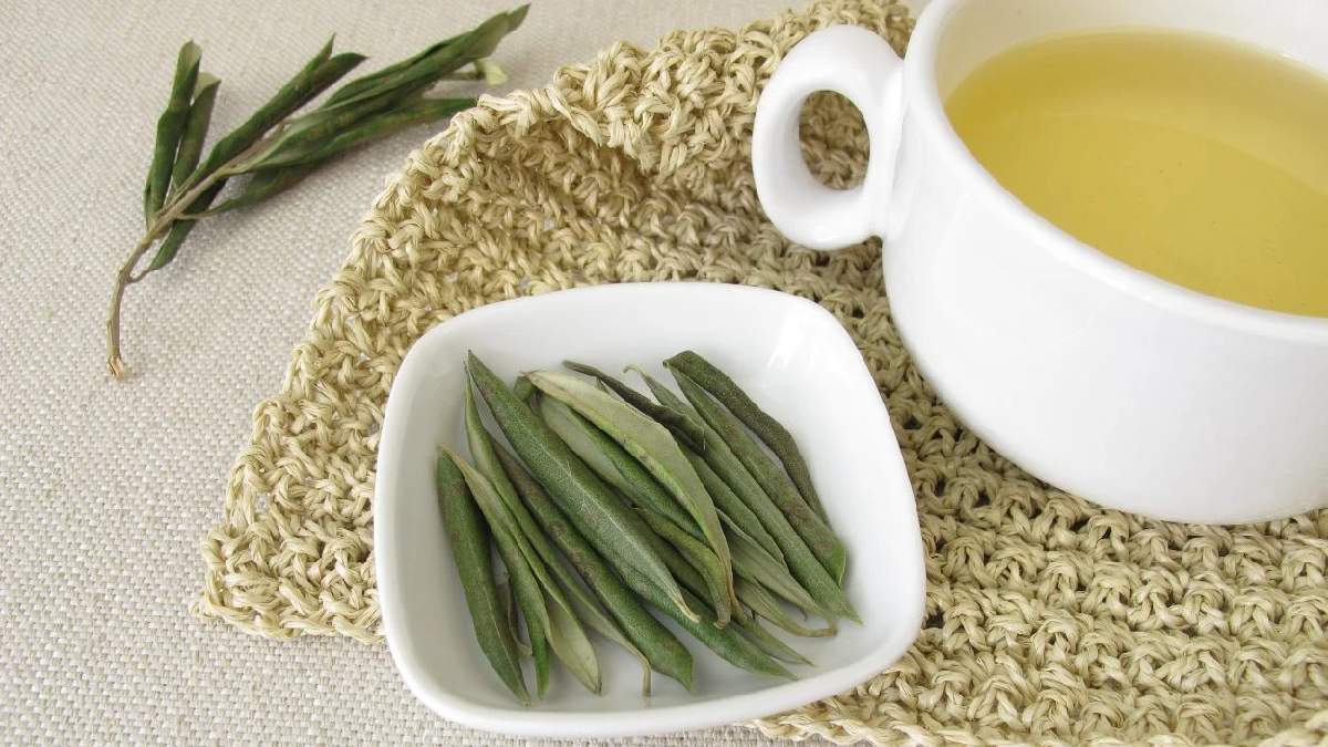 Bunu düzenli içenler e-Nabız'dan şeker hastalığını siliyor! Bu bitki suyundan yağına kadar şifa dağıtıyor