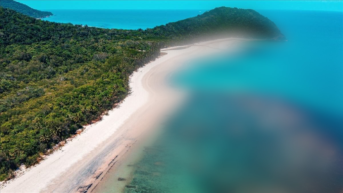 İklim değişikliği onları da vurdu! Dünyadan hızla yok olmaya başladılar… Araştırmacılar engellemek için toplandı