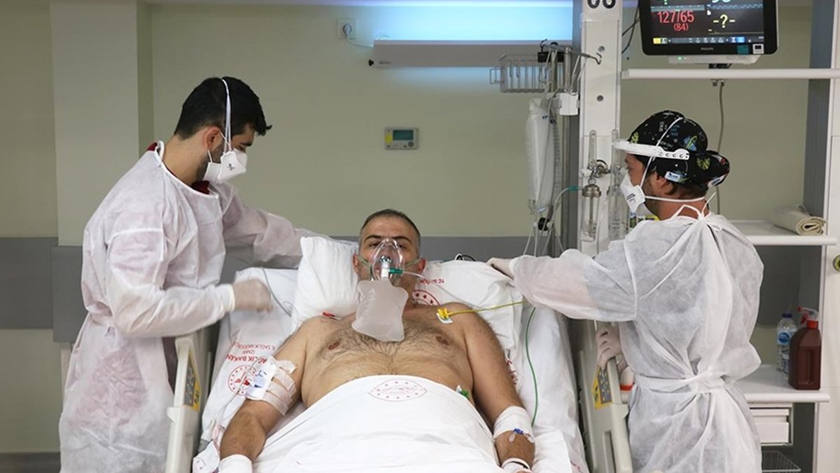 Uzmanı kuduz hastalığı için uyardı: Yılda 60 binden  fazla insan ölüyor