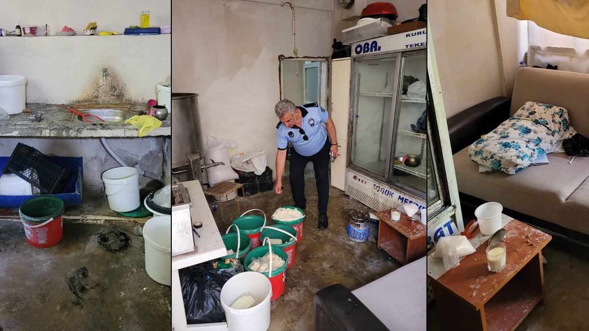 Toplum sağlığına zararın cezası 19 bin lira! Merdivenaltı peynir işletmesinde mideleri ağza getirecek görüntüler