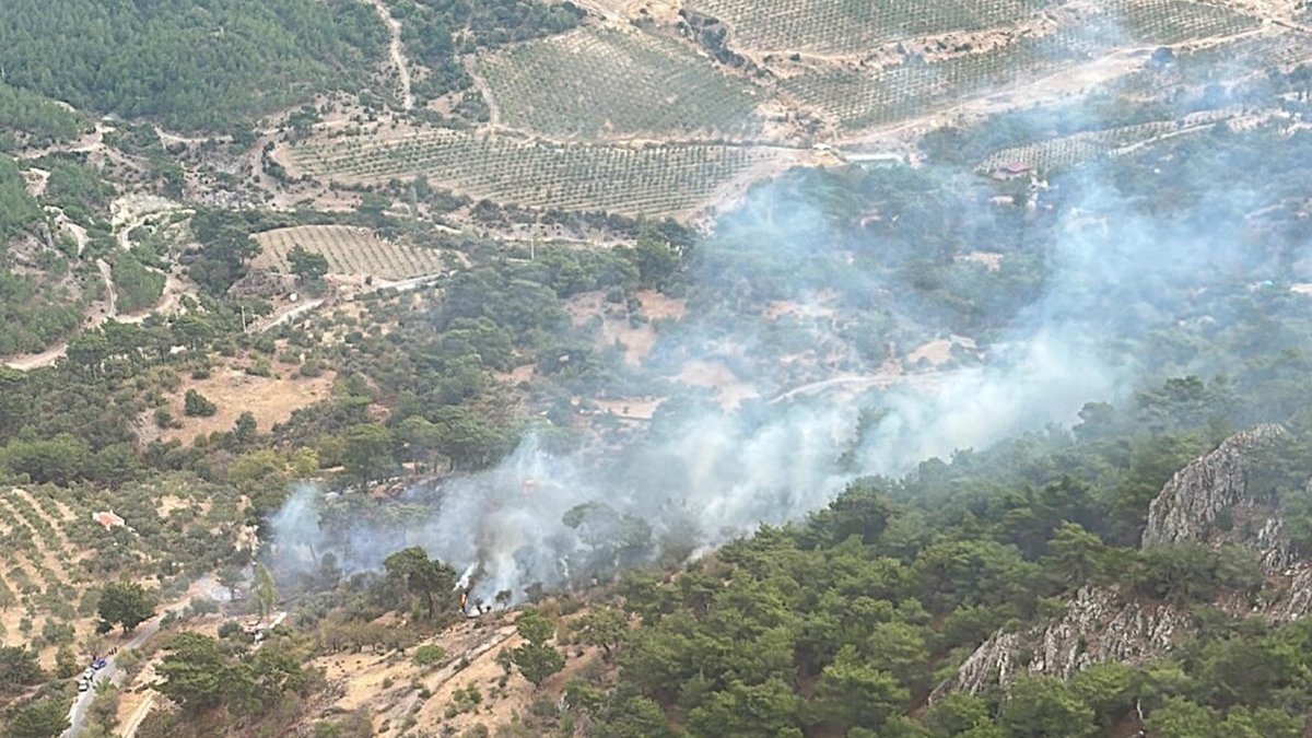 Bergama'daki orman yangını söndürüldü