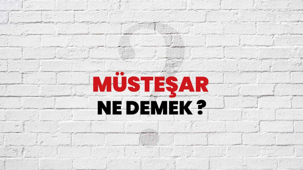 Müsteşar Ne Demek: Türkçede Bir Unvanın Anlamı