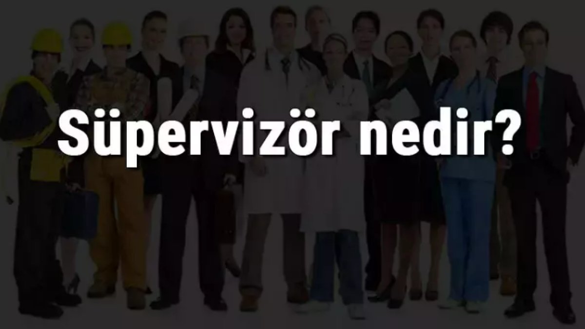 Süpervizörlük Nedir: İş Dünyasında Önemli Bir Rol