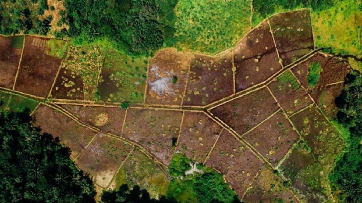 Milli Emlak piyangosu büyük illere de vurdu! Kapış kapış gidecek yeni arsa ilanı: Sadece 69 bin TL