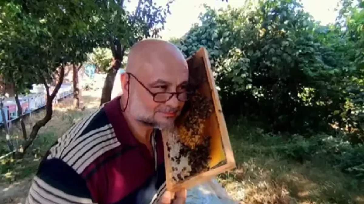 Bu hasat çok başka! Sokmayan arılarla bal üretiyor: Verim yüksek kalite ise bir başka