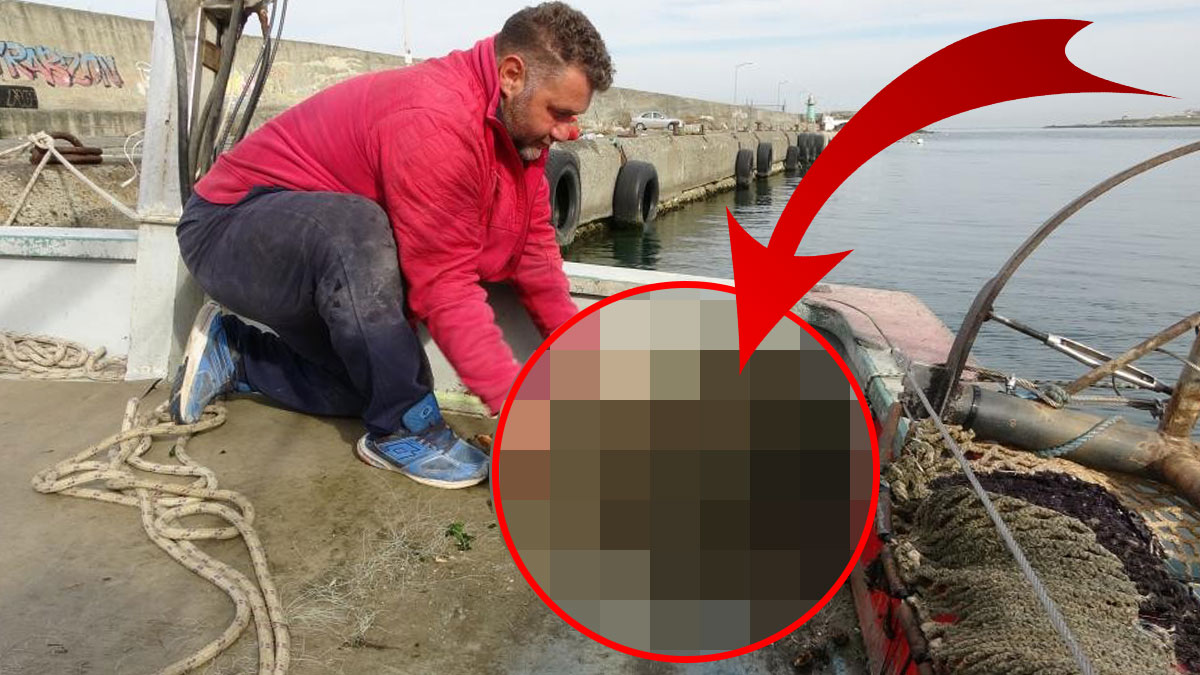 Bu işe girenlerin hiçbiri bu kadar kazanacağını tahmin etmemişti! Türkiye'de yetiştiriliyor, tüm dünyaya ihraç ediliyor