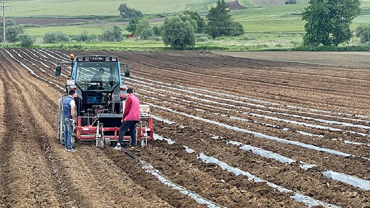 Atadan dededen kalan toprağı olanlar dikkat! 2 yıl süre verildi, yoksa devlet el atacak