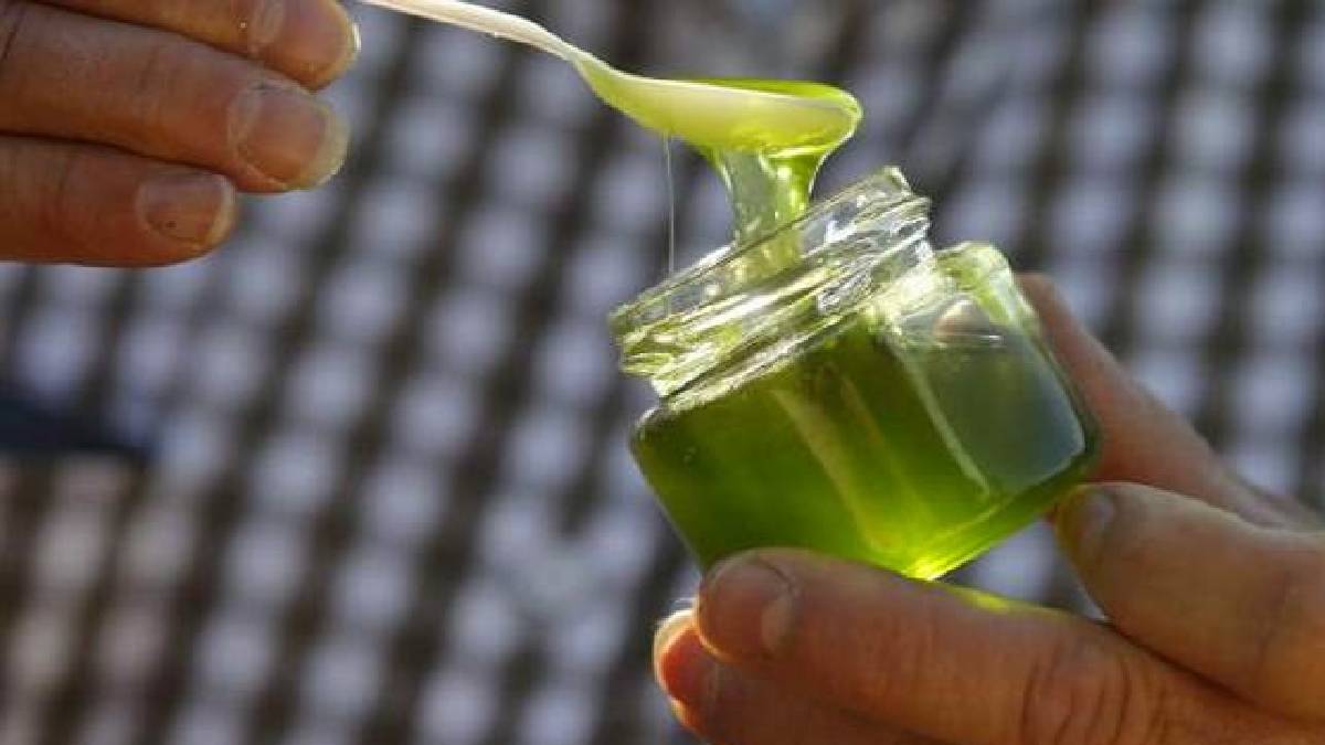 Türkiye'de eşi benzeri yok! Köy resmen hazinenin içine düştü! Şifası saymakla bitmiyor ama kimse de alamıyor: Kilosu 20 bin TL…