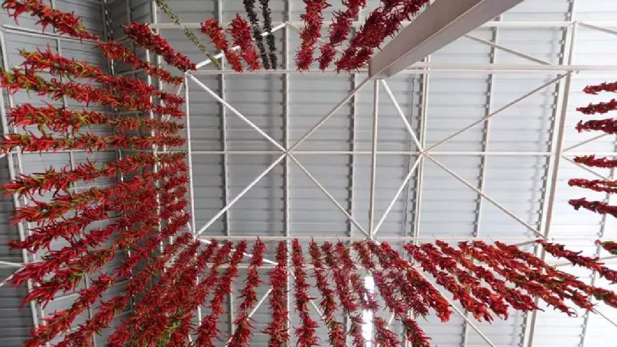 Çöp olmasın dedi bir anda dünya markası oldu! Şimdi taleplere yetişemiyor: Yurt dışından çuval çuval alıyorlar