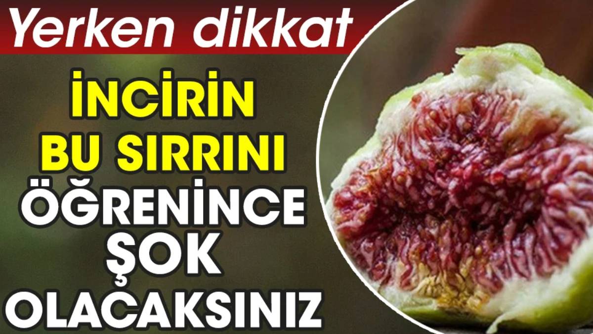 İncir diye yıllardır bakın ne yiyormuşuz! Yüzlerce yıllık sır ortaya çıktı... Midesi hassas olanlar duyduklarına inanamadı