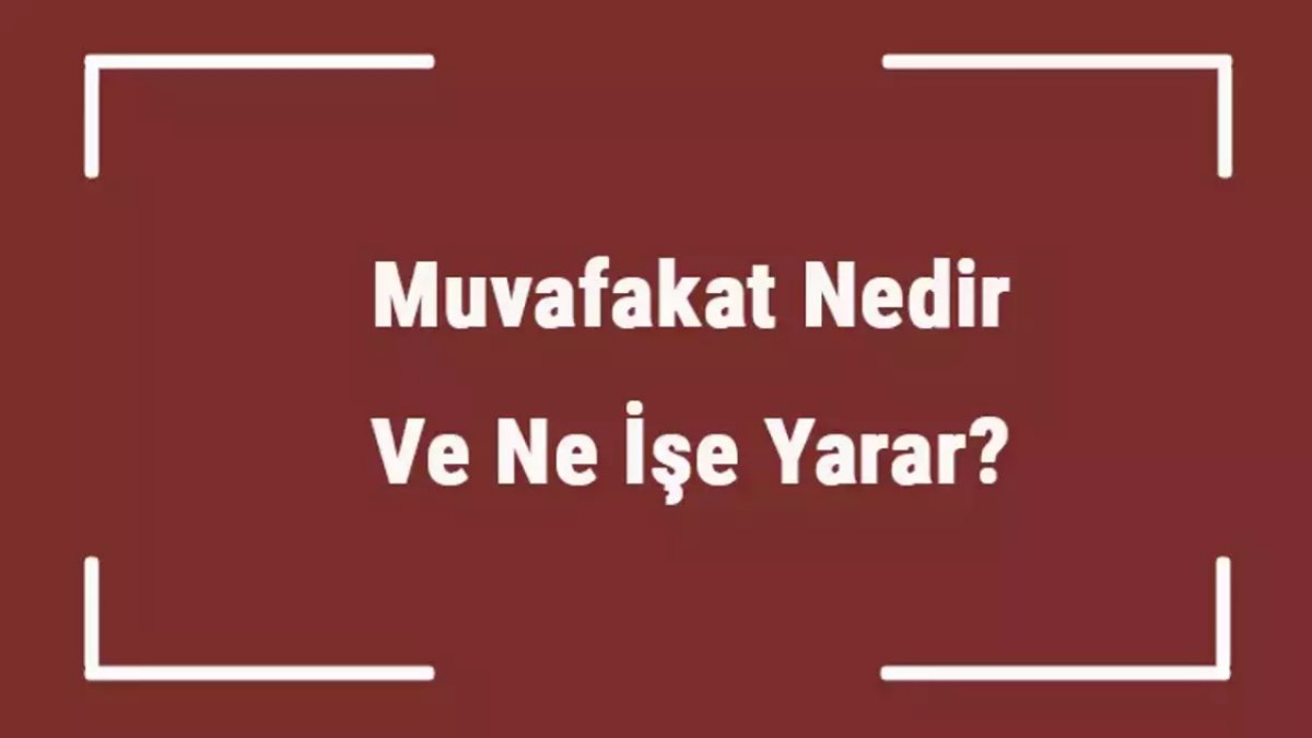 Muvafakatname Nedir? Türk Hukukunda Önemi ve Kullanımı
