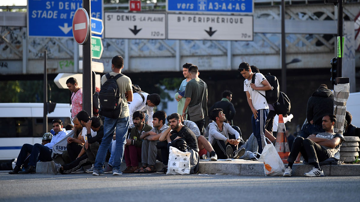 Avrupa'nın göbeğinde istila başladı: Her yere girip çıkıyorlar! Hükümete 'acil eylem planı' çağrısı yapıldı
