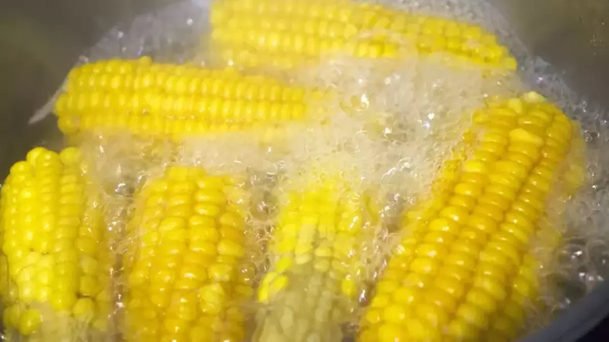 Bilenler bir damlasını bile dökmüyor! Haşlanmış mısırın suyu şifa deposu, enfeksiyondan, zayıflamaya kadar faydası var