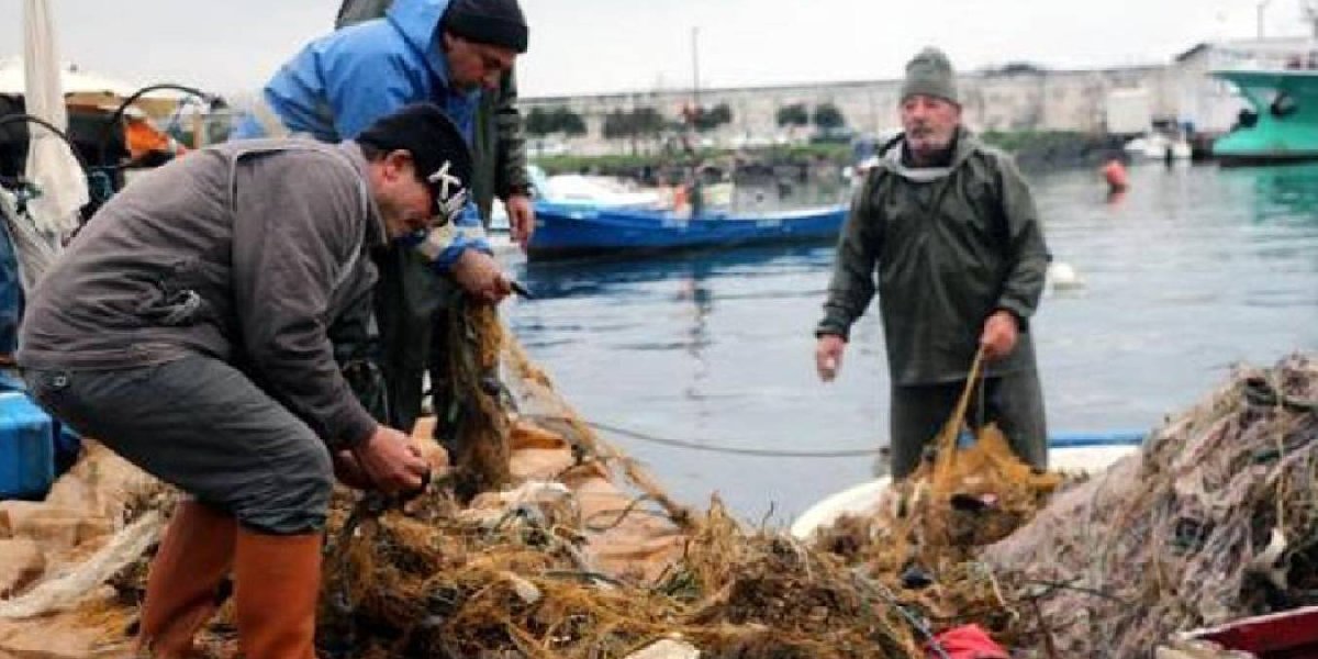 Balıkçılar paraya para demeyecek! Kilosu 8,5 eurodan satılıyor... Dünyanın en lezzetli balığı artık o bölgelerimizde fink atıyor
