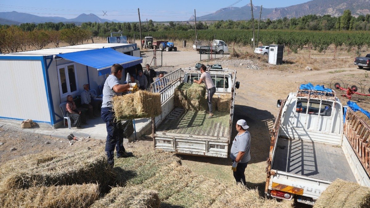 Üreticilere yonca balyası desteği