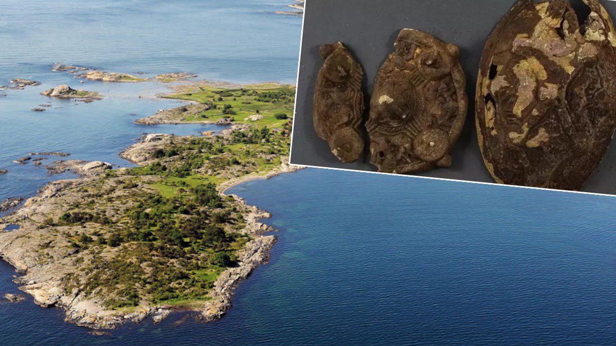 Kayıp küpeyi ararken tarihi tokayı buldular: 9. yüzyıla ait viking kalıntısı keşfedildi