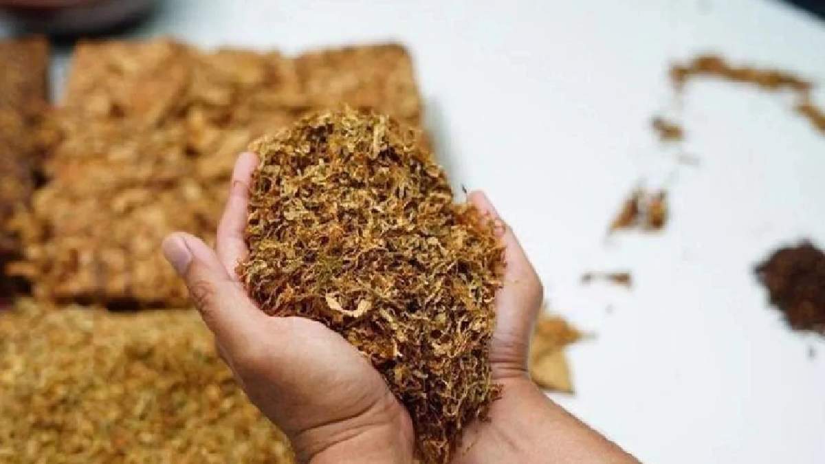 Tiryakilere yeni darbe! Bazı tütün ürünlerinde gramaj sınırlaması: Artık 100 ve 25 gramlık ambalajlarda satılacak