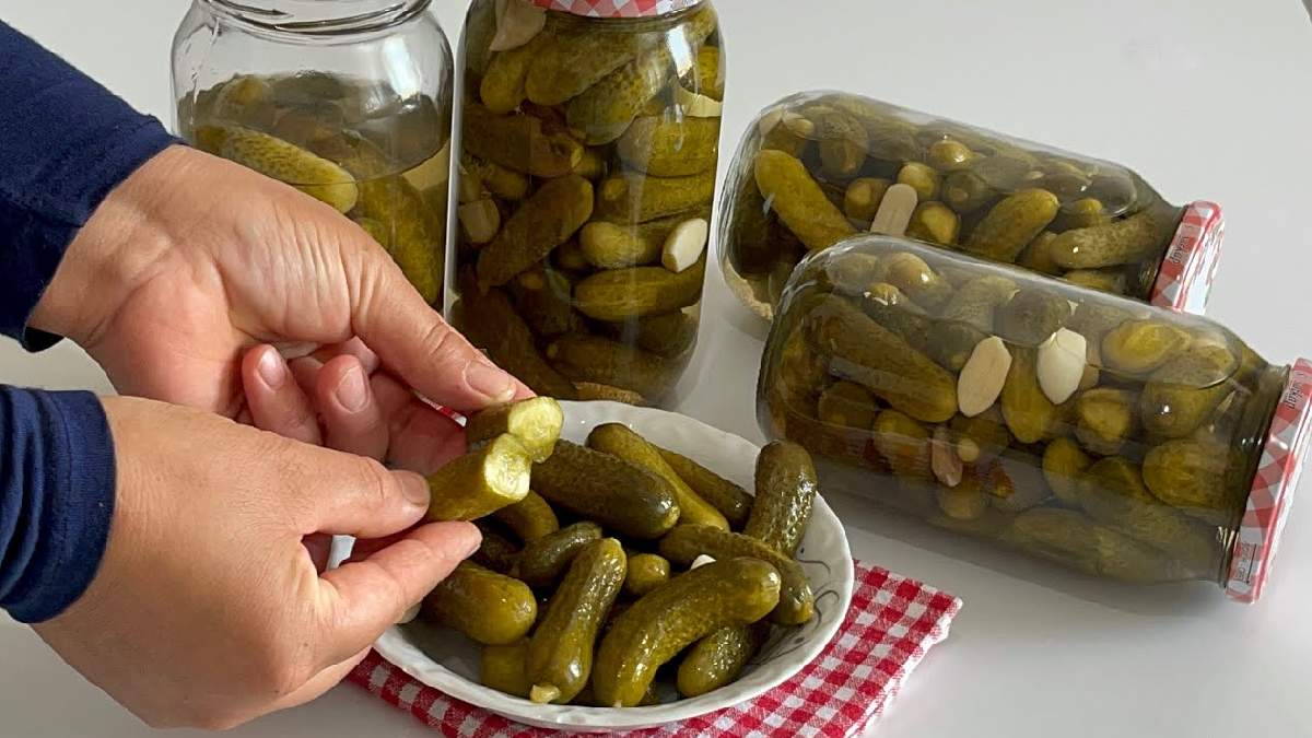 Erimeyen kütür kütür turşunun sırrı ortaya çıktı! Yaparken bidona 1 avuç koyun: 5 gün sonra yemeye hazır