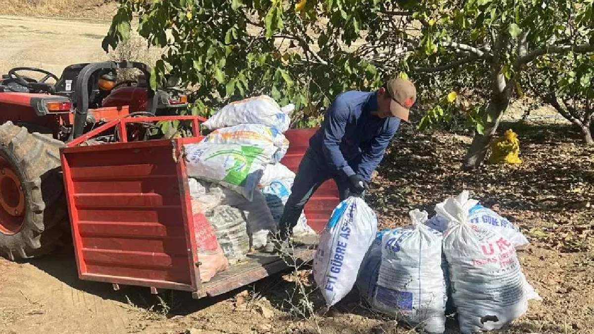 Amerika'ya rakip olarak ekildi, hasat rekoru kırdı! 'Maraş-18'e yurt dışından talep yoğunluğu: Siparişler yetişmiyor