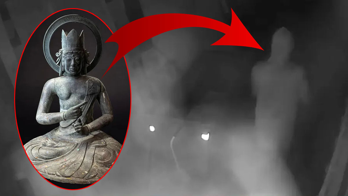 Bu da çalınır mı pes! Galeride sergilenen kutsal 'buda'yı çaldılar, savunmaları ise çıldırttı