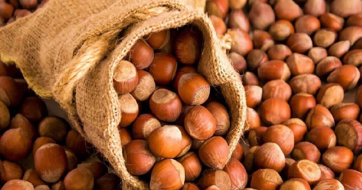 Hem üretici hem tüketici dertlendi! Fındık reyonunun yanından dahi geçilmiyor: Ancak birileri köşeyi dönüyor! Yeniden zam…