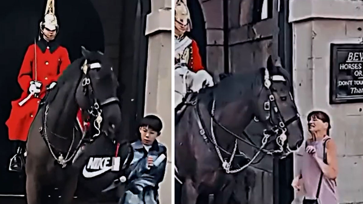 İngiliz kraliyet atı herkesi teklemedi ve ısırdı ama o kadın yanına yaklaşınca...