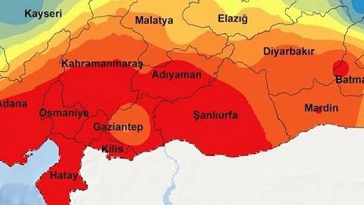 Şanlıurfa, Kilis ve Mardin'de yaşayanlar dikkat! Dünyanın en zehirli yılanı o ilimizde görüldü... Türkiye'nin tek kobra türü!