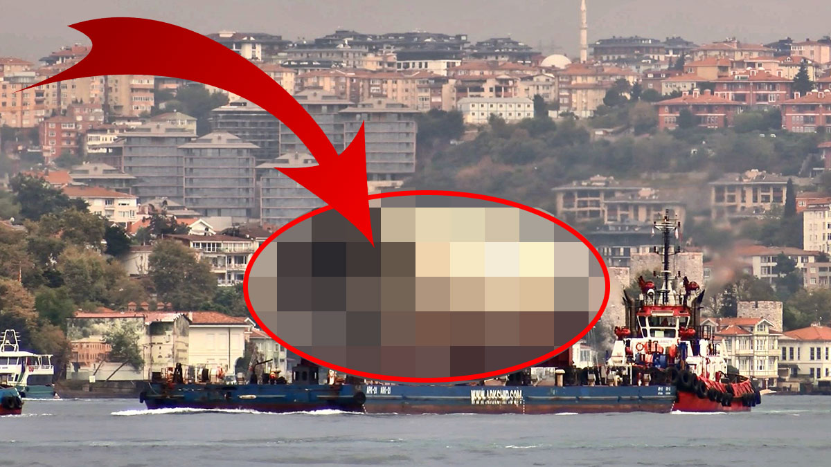 İstanbul Boğazı'nda onu görenlerin gözleri fal taşı gibi açıldı! Görenler inanamadı, ovuşturup tekrar baktı, bir daha baktı...