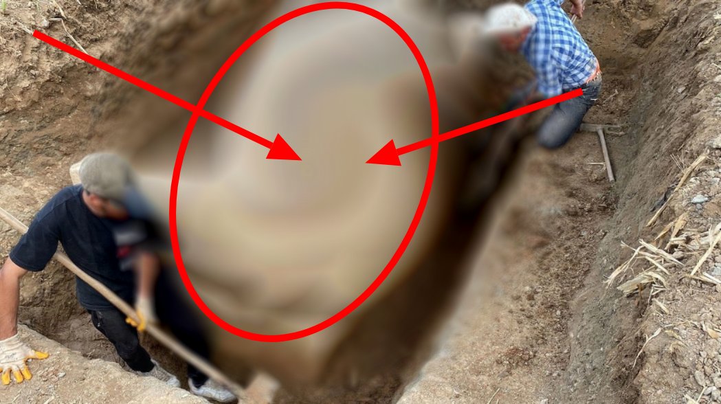 Define ararken az kalsın çarpılıyorlardı! Altın beklerken buldukları şok etti, öylece bırakıp kaçtılar