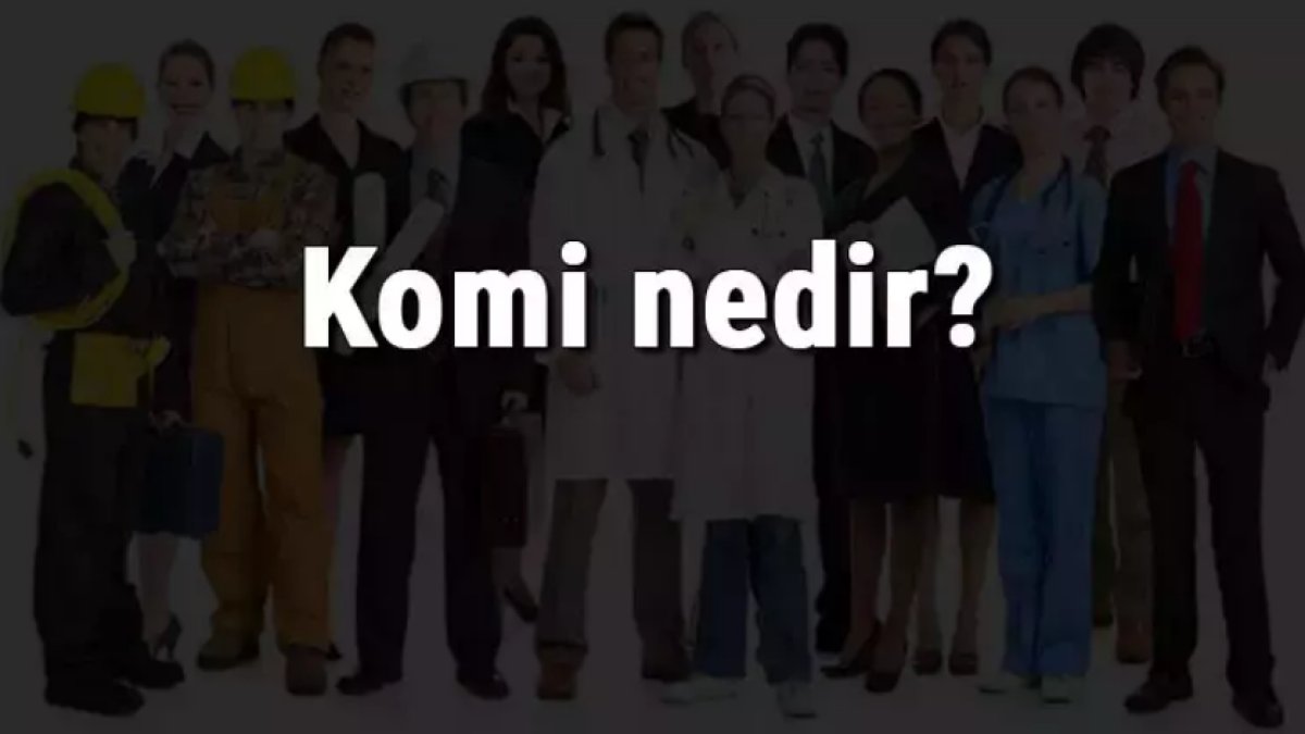 Komi Nedir? Komi Mesleği Nedir?