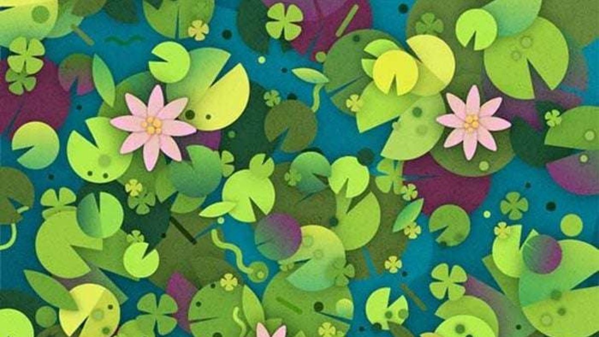 Resimde gizli bir kurbağa var! 7 saniyede bulanların IQ seviyesi 130 ve üzeri çıkıyor...