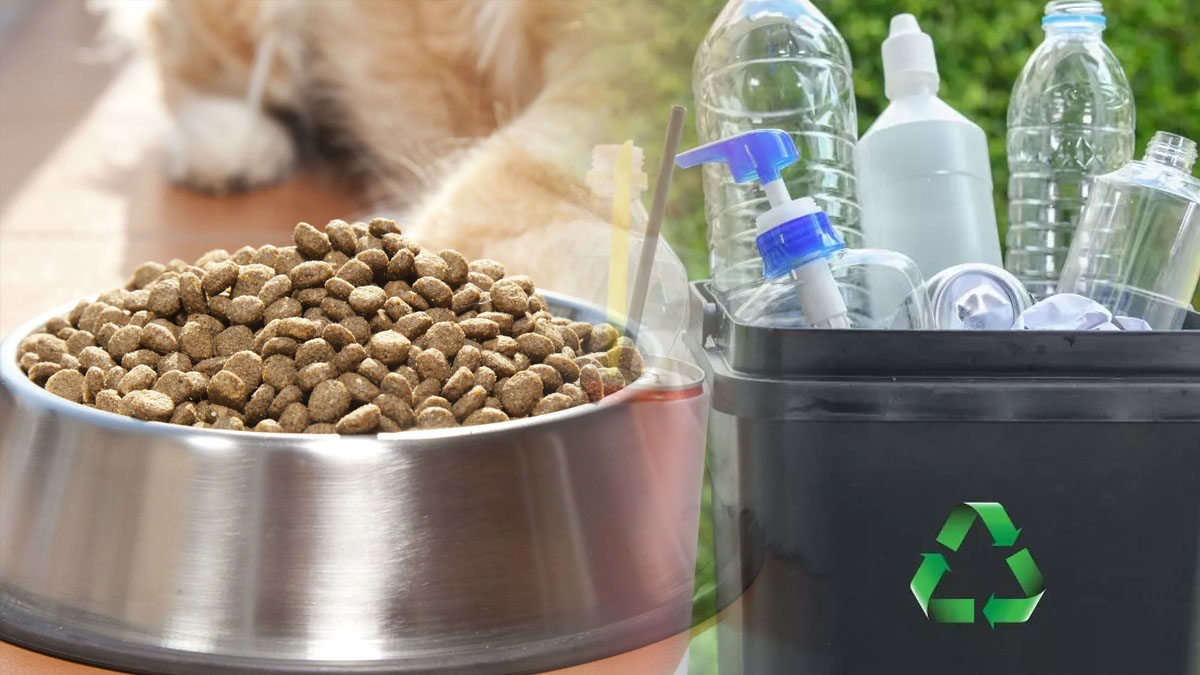 Atıkları buraya atan mama ve kalem alıyor! O belediyeden takdir edilecek proje, birçok hayvanın karnı doyacak