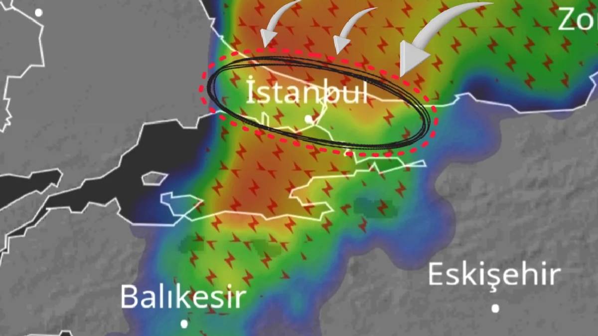 Sarıyer, Beykoz, Kadıköy… Bu kez boğazdan vuracak! Davetsiz misafir tek tek yokluyor