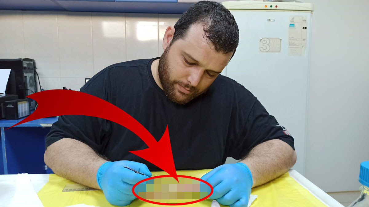 Türk bilim insanlarını şaşırtan buluş: Akdeniz'de ilk kez görüldü! Öyle bir isim koydular ki duyanlar kahkaha attı