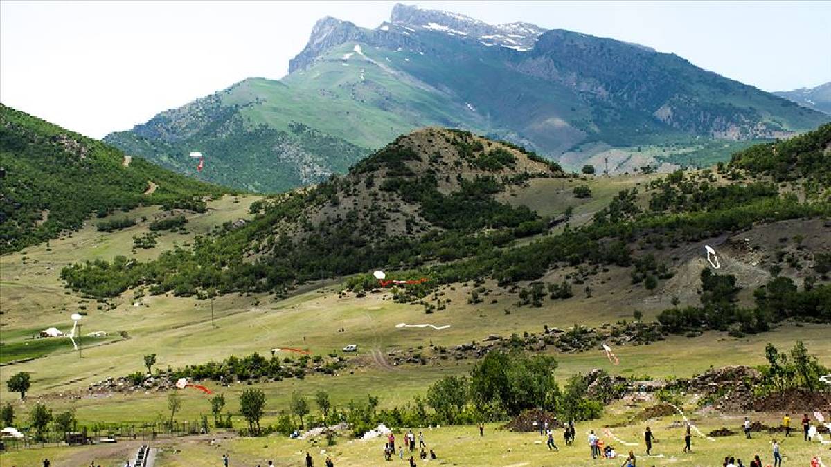 4 ayrı dağın zirvesinden toplanıyor! Şifası doktorları bile şaşırtıyor: Dünya bile  bunun peşinde