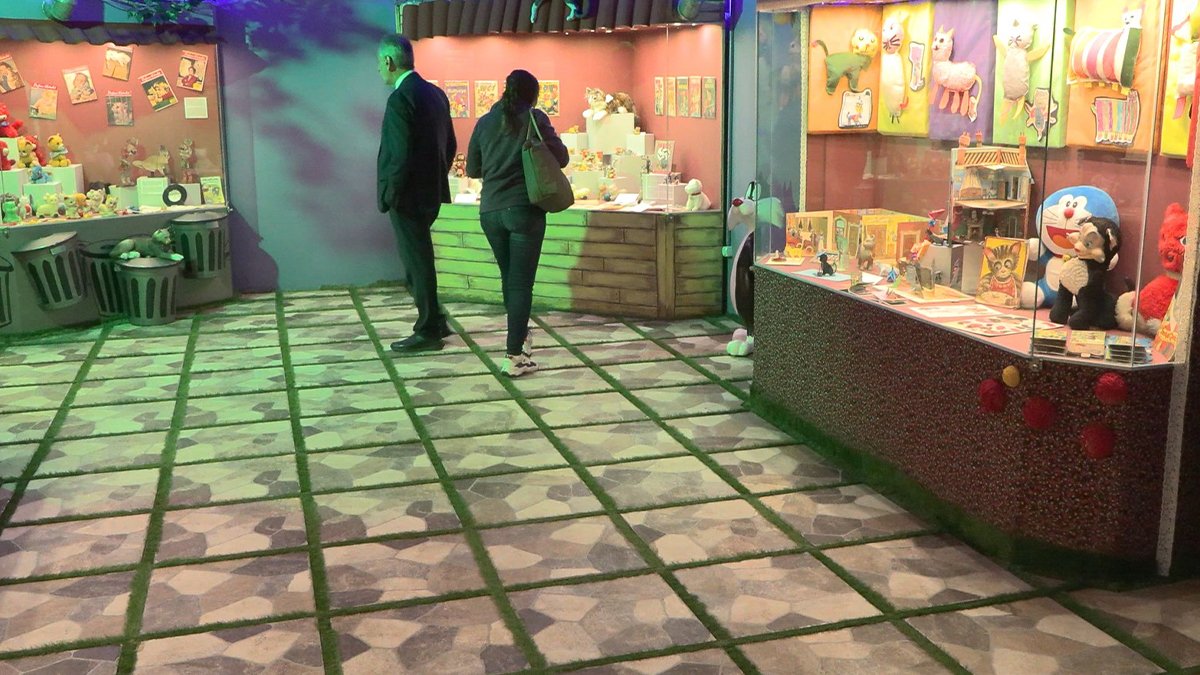 İstanbul'un ilk 'Kedi Müzesi' açıldı