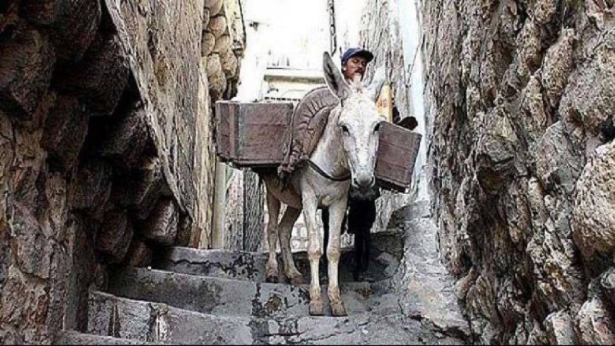 Eşek sırtında 7 günde götürülüyor! Bu ekmeği gören savaşa koşuyor! Hem tok tutuyor hem de bayatlamıyor