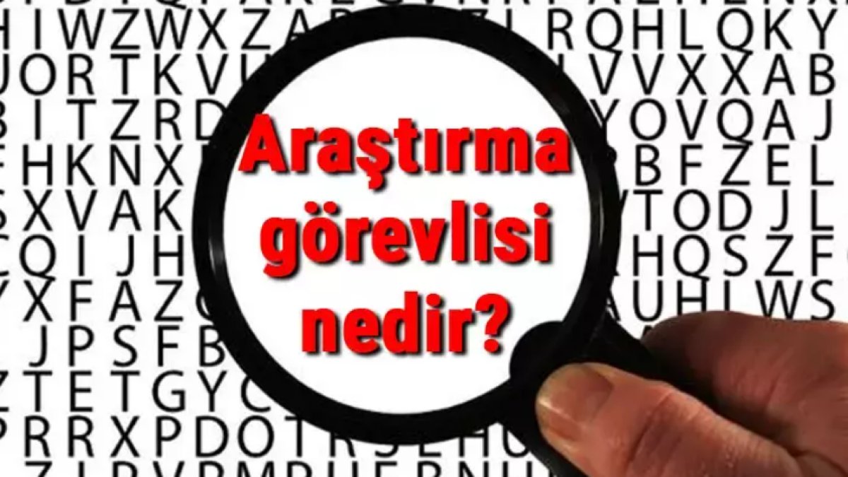 Araştırma Görevlisi Nedir: Üniversite Eğitimindeki Önemli Rol