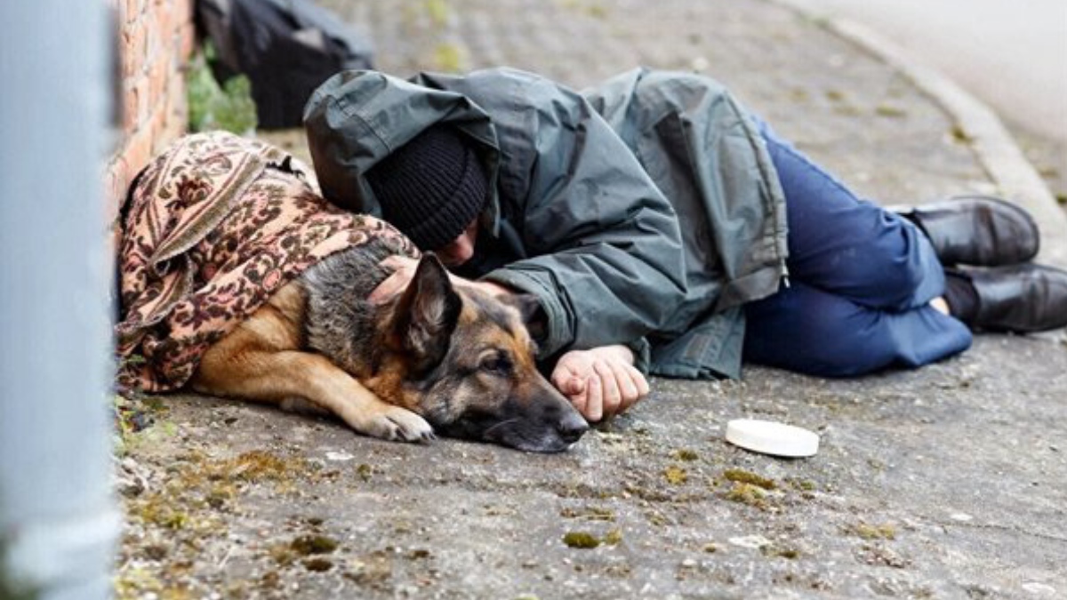 Sokakta yaşayan kimse kalmayacak! Valilik uygulamayı başlattı: Otele yerleştirip tedavilerini karşılıyor