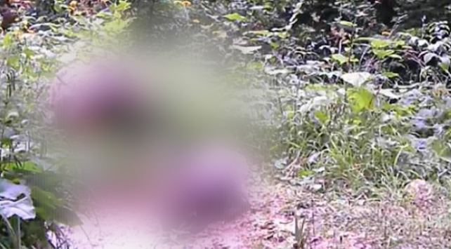 Kastamonu'da başladı Sinop, Zonguldak, Çankırı'ya kadar uzandı! Kapıyı pencereyi sıkı kapatın:Bir anda gelip her şeyi yok ediyor