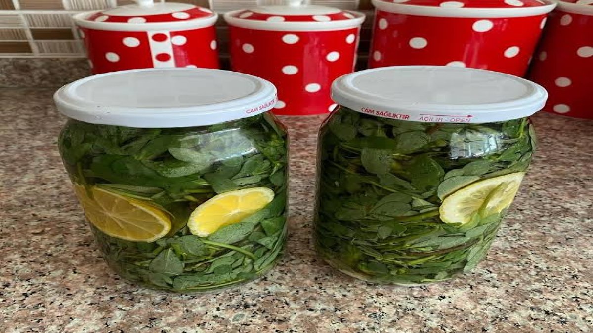 4 malzemeyle Semizotu turşusu yapın! Yiyen tiryakisi olacak… Faydaları say say bitmiyor