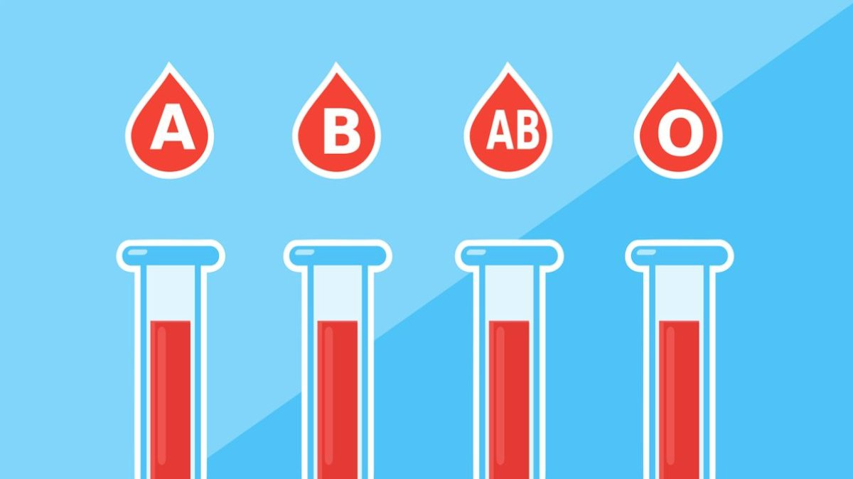 Kan Grubu Nereden Öğrenilir: Sağlığınızı Anlamak İçin İhtiyacınız Olan Bilgiler