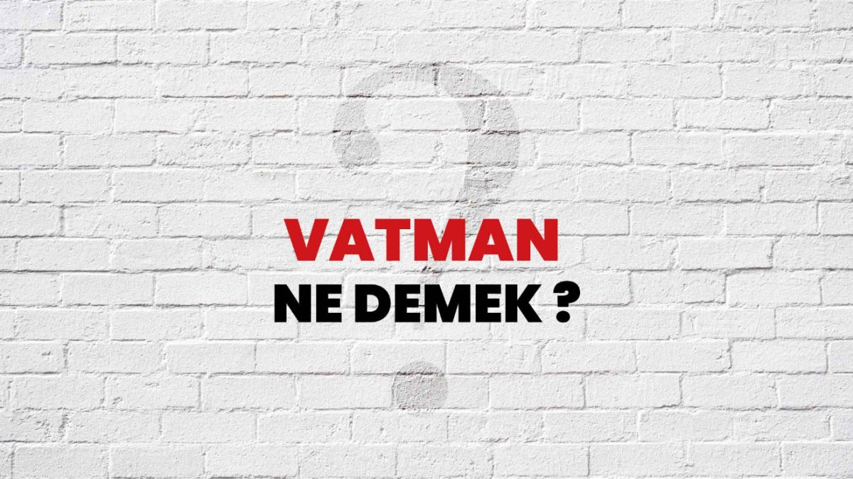 Vatman Ne Demek: Türkçede Vatmanlık Mesleği