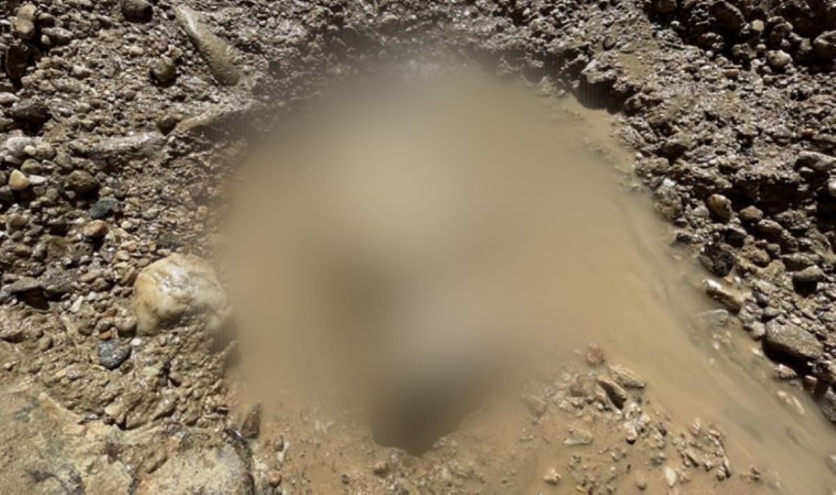 Topraktan öyle bir şey çıktı ki! Gören küçük dilini yuttu: Dünyanın en büyüğü sadece Türkiye'de