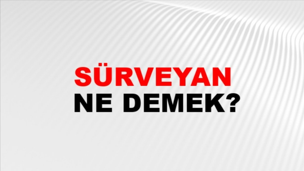 Sürveyan Ne Demek? Türkçede Sürveyanın Anlamı ve Önemi