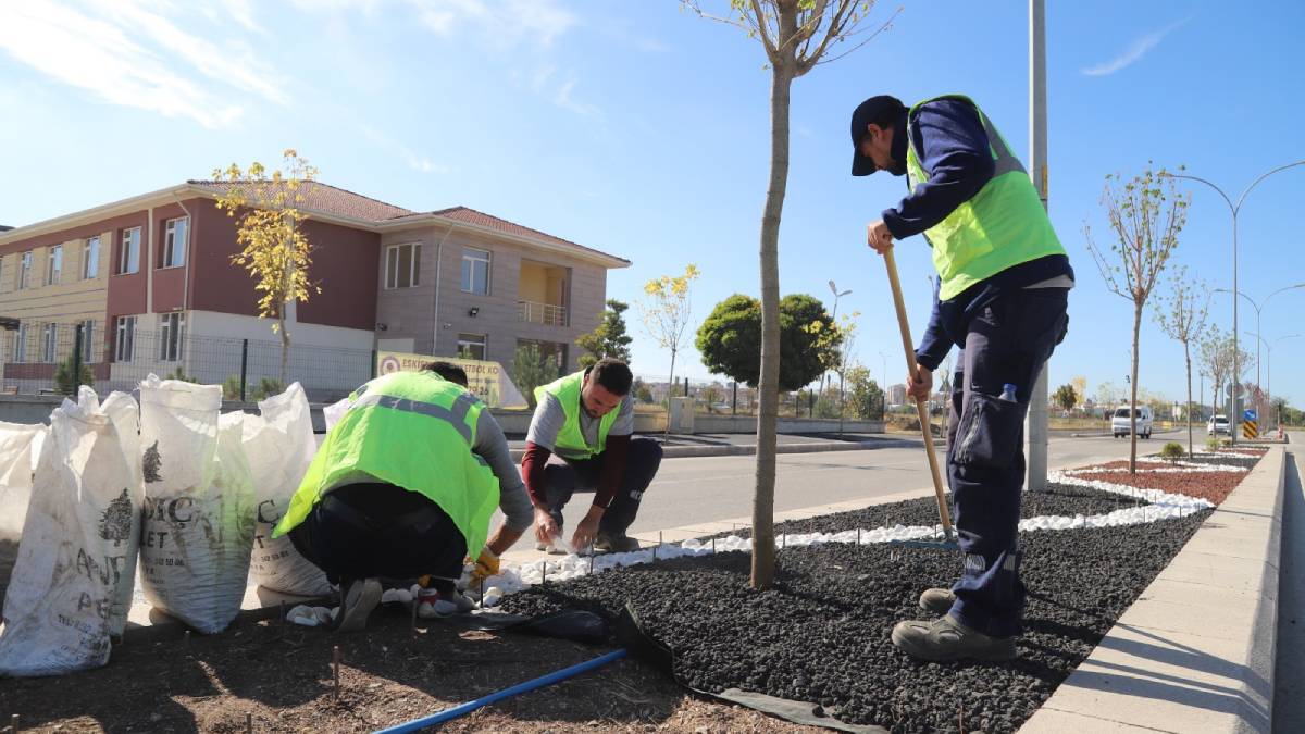 Büyükşehir’den su kıtlığına karşı kuru peyzaj uygulaması